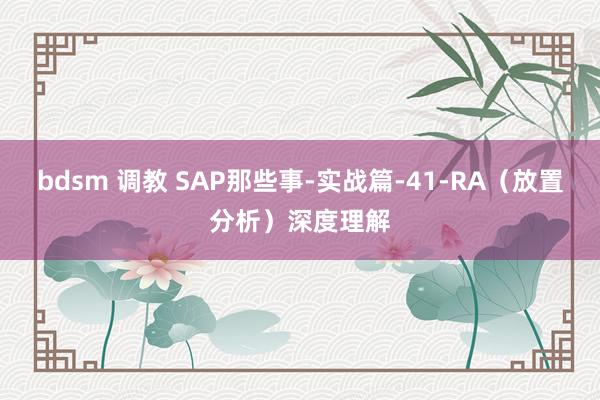 bdsm 调教 SAP那些事-实战篇-41-RA（放置分析）深度理解