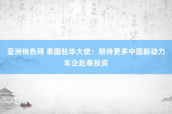 亚洲桃色网 泰国驻华大使：期待更多中国新动力车企赴泰投资