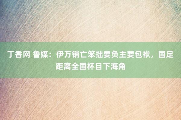 丁香网 鲁媒：伊万销亡笨拙要负主要包袱，国足距离全国杯目下海角