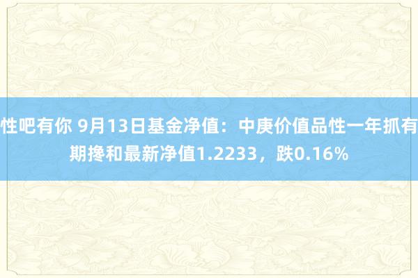 性吧有你 9月13日基金净值：中庚价值品性一年抓有期搀和最新净值1.2233，跌0.16%