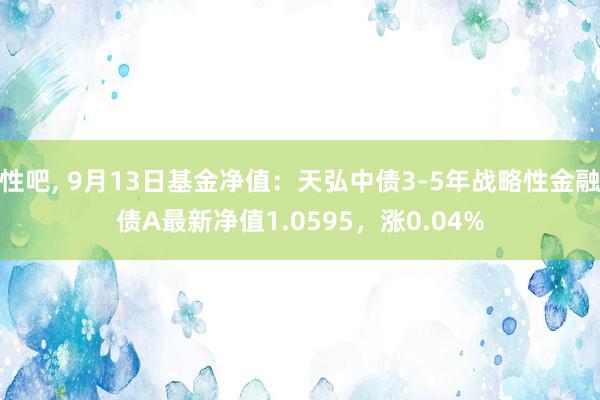 性吧， 9月13日基金净值：天弘中债3-5年战略性金融债A最新净值1.0595，涨0.04%