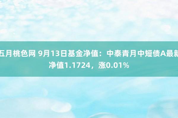 五月桃色网 9月13日基金净值：中泰青月中短债A最新净值1.1724，涨0.01%