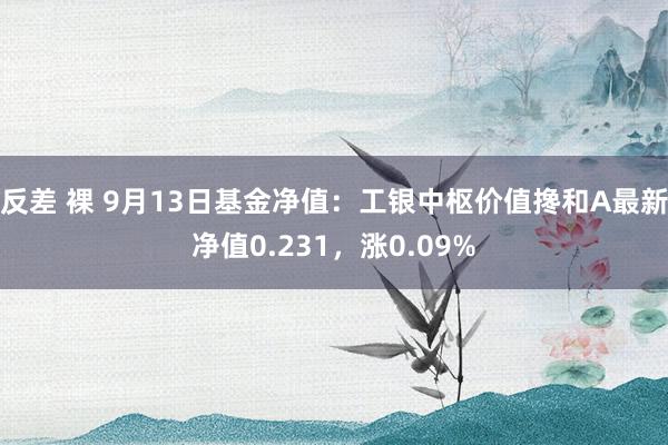 反差 裸 9月13日基金净值：工银中枢价值搀和A最新净值0.231，涨0.09%