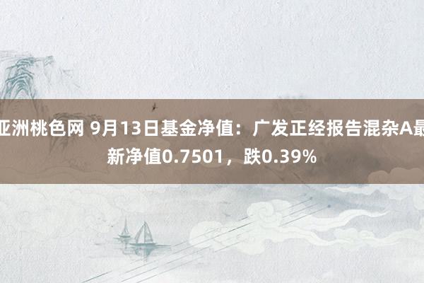 亚洲桃色网 9月13日基金净值：广发正经报告混杂A最新净值0.7501，跌0.39%