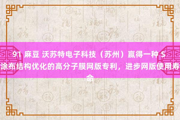 91 麻豆 沃苏特电子科技（苏州）赢得一种 S 面涂布结构优化的高分子膜网版专利，进步网版使用寿命