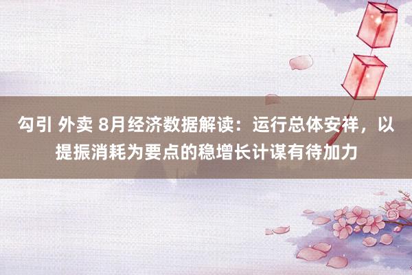 勾引 外卖 8月经济数据解读：运行总体安祥，以提振消耗为要点的稳增长计谋有待加力