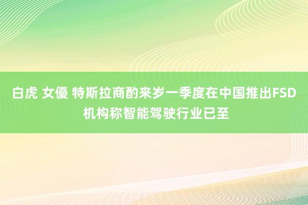 白虎 女優 特斯拉商酌来岁一季度在中国推出FSD 机构称智能驾驶行业已至