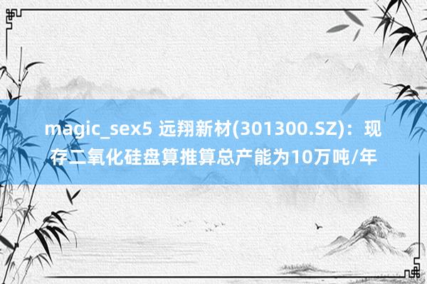 magic_sex5 远翔新材(301300.SZ)：现存二氧化硅盘算推算总产能为10万吨/年