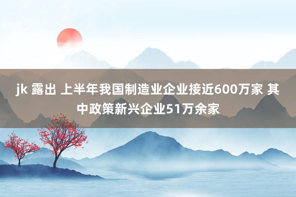 jk 露出 上半年我国制造业企业接近600万家 其中政策新兴企业51万余家