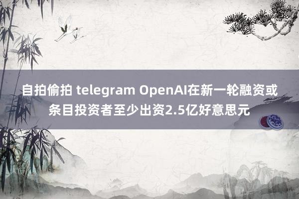 自拍偷拍 telegram OpenAI在新一轮融资或条目投资者至少出资2.5亿好意思元