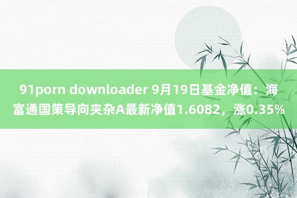 91porn downloader 9月19日基金净值：海富通国策导向夹杂A最新净值1.6082，涨0.35%