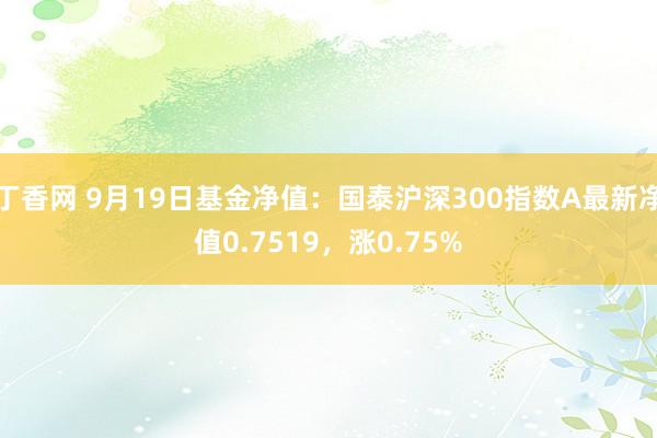 丁香网 9月19日基金净值：国泰沪深300指数A最新净值0.7519，涨0.75%