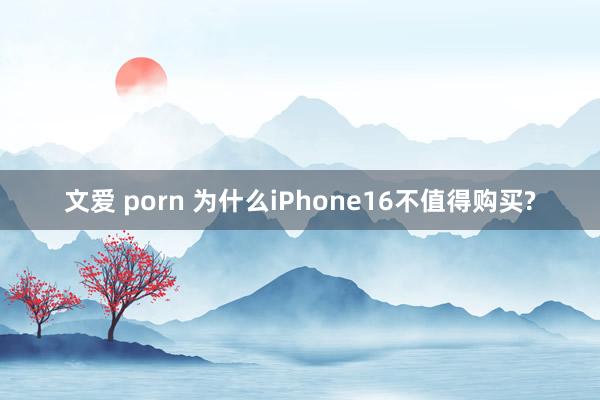 文爱 porn 为什么iPhone16不值得购买?