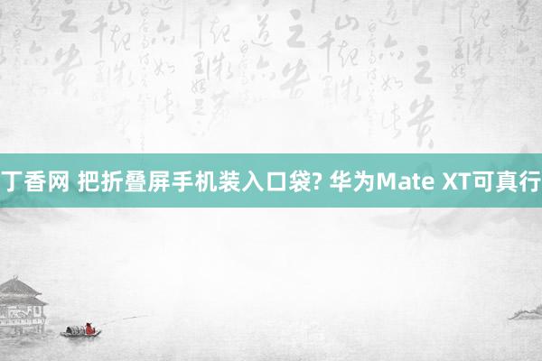 丁香网 把折叠屏手机装入口袋? 华为Mate XT可真行