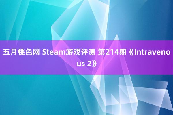 五月桃色网 Steam游戏评测 第214期《Intravenous 2》