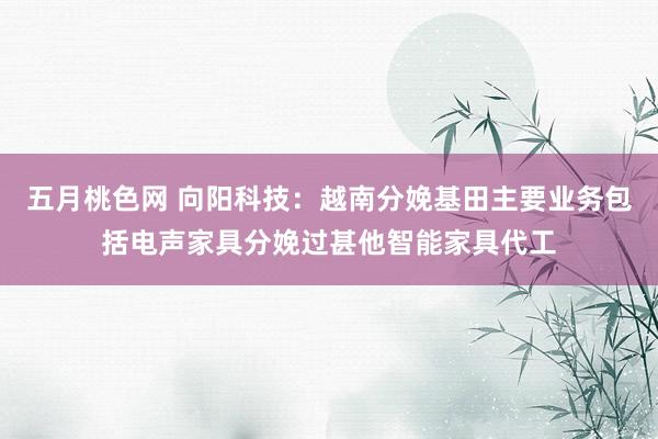 五月桃色网 向阳科技：越南分娩基田主要业务包括电声家具分娩过甚他智能家具代工