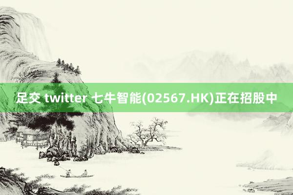 足交 twitter 七牛智能(02567.HK)正在招股中