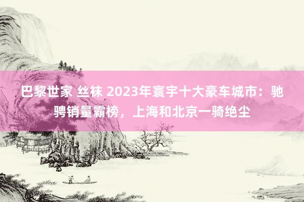 巴黎世家 丝袜 2023年寰宇十大豪车城市：驰骋销量霸榜，上海和北京一骑绝尘