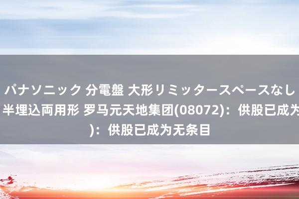 パナソニック 分電盤 大形リミッタースペースなし 露出・半埋込両用形 罗马元天地集团(08072)：供股已成为无条目