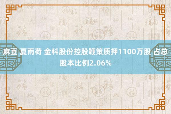 麻豆 夏雨荷 金科股份控股鞭策质押1100万股 占总股本比例2.06%