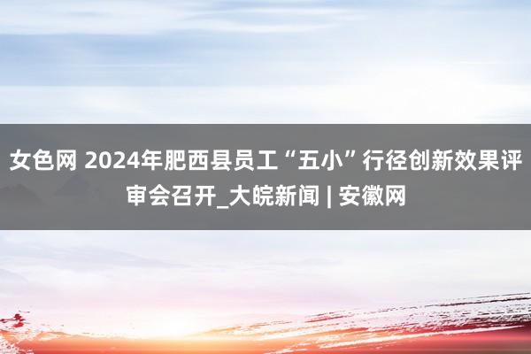 女色网 2024年肥西县员工“五小”行径创新效果评审会召开_大皖新闻 | 安徽网