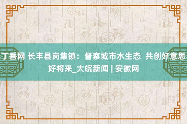 丁香网 长丰县岗集镇：督察城市水生态  共创好意思好将来_大皖新闻 | 安徽网