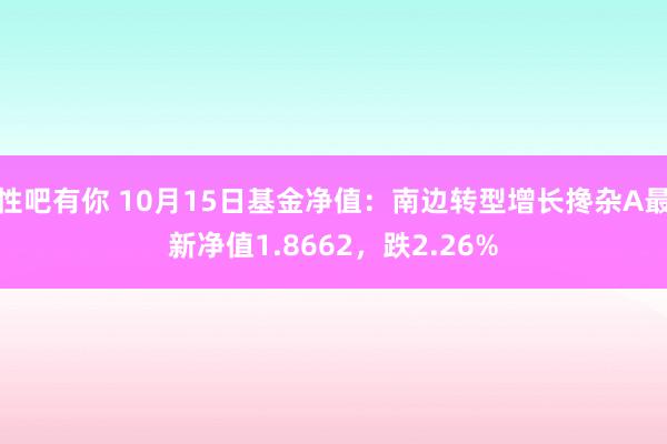 性吧有你 10月15日基金净值：南边转型增长搀杂A最新净值1.8662，跌2.26%