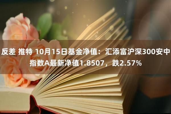 反差 推特 10月15日基金净值：汇添富沪深300安中指数A最新净值1.8507，跌2.57%