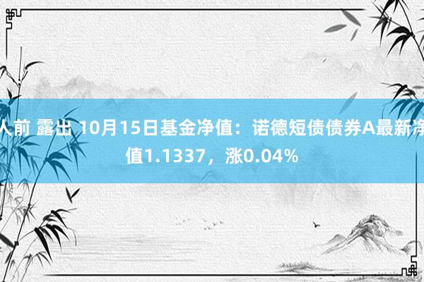 人前 露出 10月15日基金净值：诺德短债债券A最新净值1.1337，涨0.04%