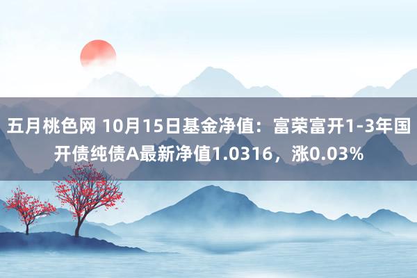 五月桃色网 10月15日基金净值：富荣富开1-3年国开债纯债A最新净值1.0316，涨0.03%