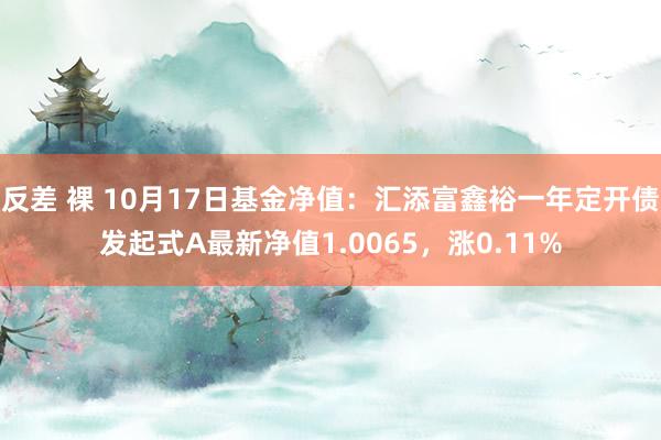 反差 裸 10月17日基金净值：汇添富鑫裕一年定开债发起式A最新净值1.0065，涨0.11%