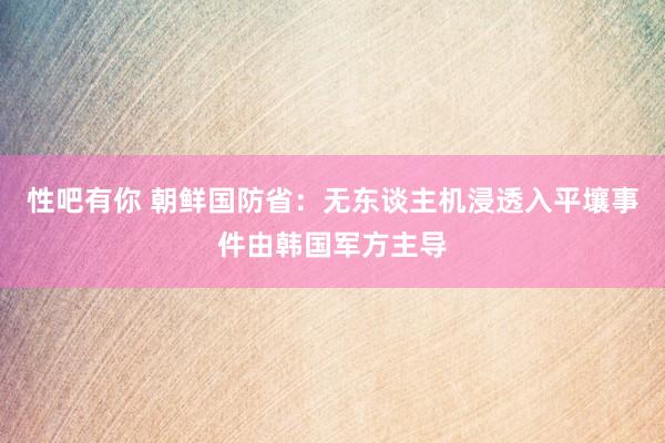 性吧有你 朝鲜国防省：无东谈主机浸透入平壤事件由韩国军方主导