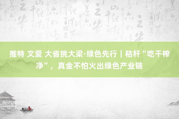 推特 文爱 大省挑大梁·绿色先行｜秸秆“吃干榨净”，真金不怕火出绿色产业链