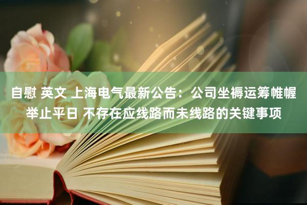 自慰 英文 上海电气最新公告：公司坐褥运筹帷幄举止平日 不存在应线路而未线路的关键事项