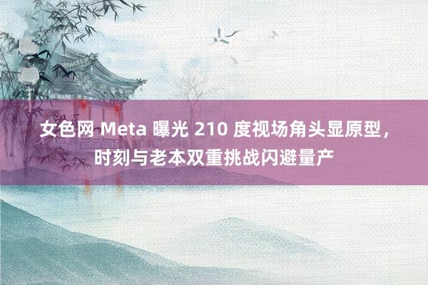 女色网 Meta 曝光 210 度视场角头显原型，时刻与老本双重挑战闪避量产