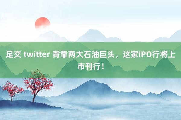 足交 twitter 背靠两大石油巨头，这家IPO行将上市刊行！