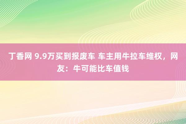 丁香网 9.9万买到报废车 车主用牛拉车维权，网友：牛可能比车值钱