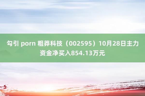 勾引 porn 粗莽科技（002595）10月28日主力资金净买入854.13万元