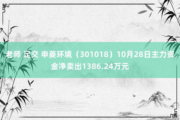 老师 足交 申菱环境（301018）10月28日主力资金净卖出1386.24万元