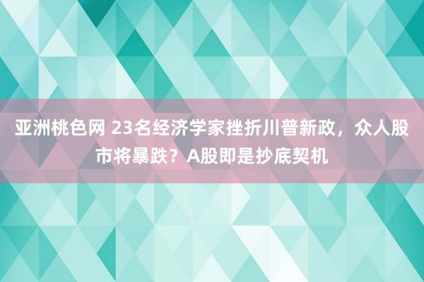 亚洲桃色网 23名经济学家挫折川普新政，众人股市将暴跌？A股即是抄底契机