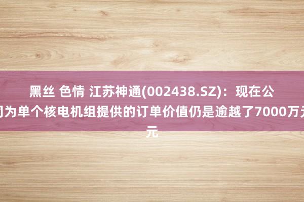 黑丝 色情 江苏神通(002438.SZ)：现在公司为单个核电机组提供的订单价值仍是逾越了7000万元