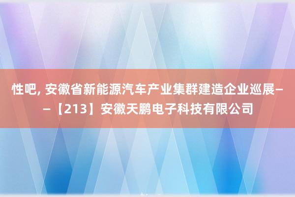 性吧， 安徽省新能源汽车产业集群建造企业巡展——【213】安徽天鹏电子科技有限公司