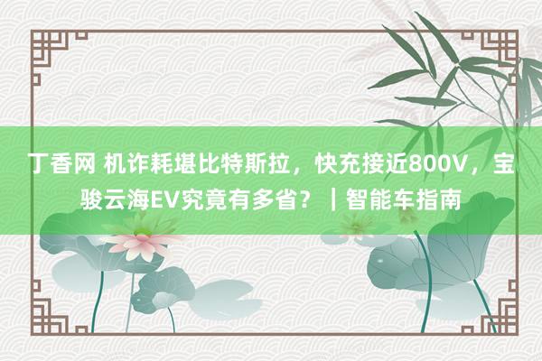 丁香网 机诈耗堪比特斯拉，快充接近800V，宝骏云海EV究竟有多省？｜智能车指南