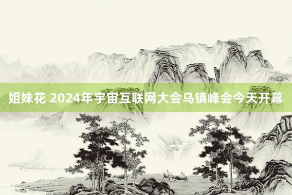 姐妹花 2024年宇宙互联网大会乌镇峰会今天开幕