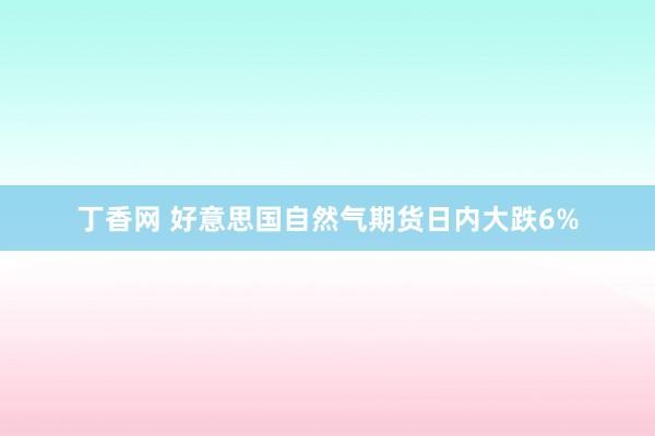 丁香网 好意思国自然气期货日内大跌6%