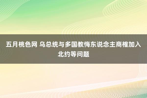 五月桃色网 乌总统与多国教悔东说念主商榷加入北约等问题