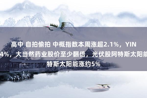 高中 自拍偷拍 中概指数本周涨超2.1%，YINN涨超4.4%，大当然药业股价至少翻倍，光伏股阿特斯太阳能涨约5%