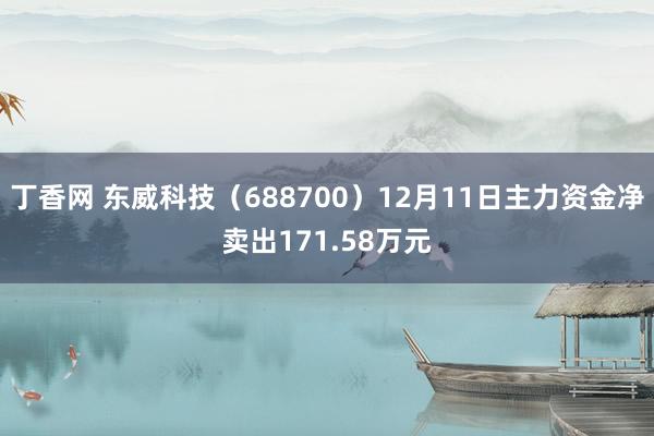 丁香网 东威科技（688700）12月11日主力资金净卖出171.58万元