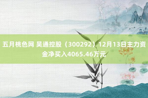 五月桃色网 吴通控股（300292）12月13日主力资金净买入4065.46万元