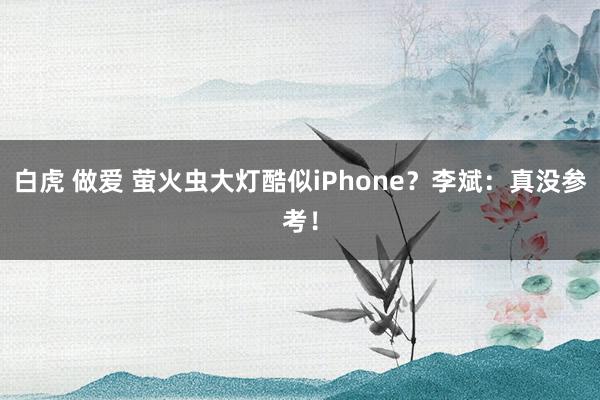 白虎 做爱 萤火虫大灯酷似iPhone？李斌：真没参考！